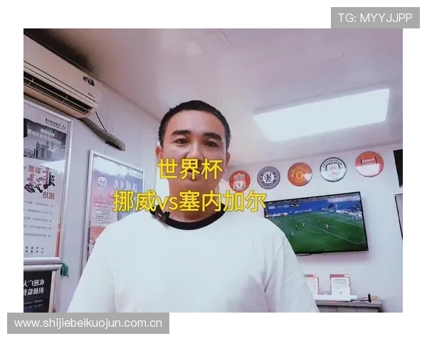 世界杯挪威VS塞内加尔比赛场地容量及其对比赛观众体验的影响